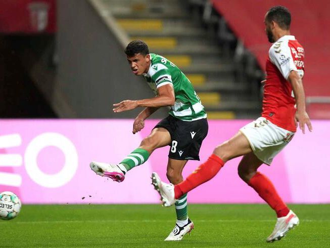 花元素与雪 花元素与雪